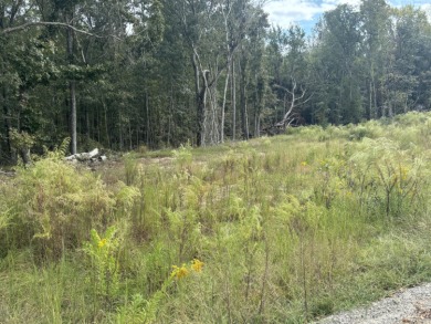 Lake Marion Acreage For Sale in Summerton South Carolina