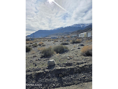 Walker Lake Lot For Sale in Walker Lake Nevada