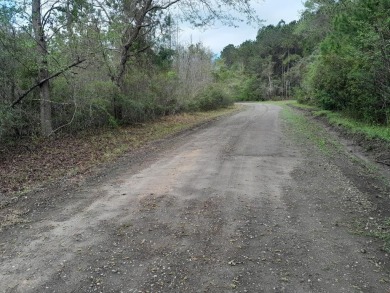 Lake Acreage For Sale in Cross, South Carolina