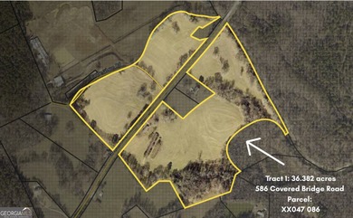 Prime Development Opportunity in Hoschton! Currently zoned Ag - photo 2