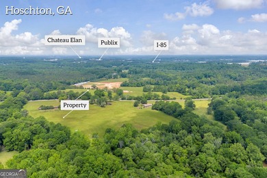 Prime Development Opportunity in Hoschton! Currently zoned Ag - photo 4