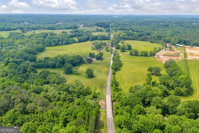 Prime Development Opportunity in Hoschton! Currently zoned Ag - photo 6