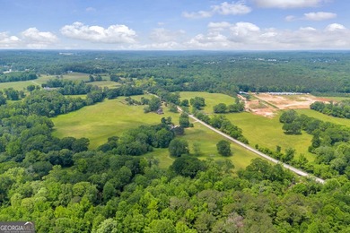 Prime Development Opportunity in Hoschton! Currently zoned Ag - photo 8