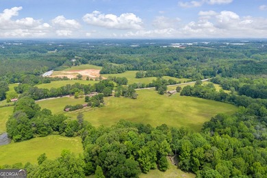 Prime Development Opportunity in Hoschton! Currently zoned Ag - photo 10