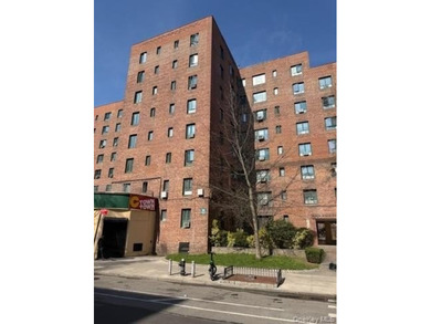 NEW PRICE! Large 1-bedroom Parkchester condominium being sold - photo 1