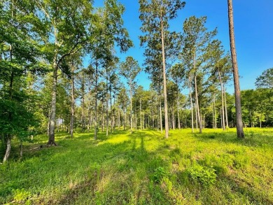 (private lake, pond, creek) Acreage For Sale in Shelbyville Texas