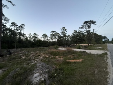 2 Beautiful lots, on a paved road, and within a 3-5 minute drive - photo 1
