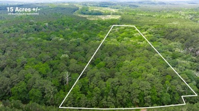 Lake Acreage For Sale in Etoile, Texas