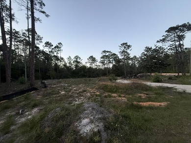 2 Beautiful lots, on a paved road, and within a 3-5 minute drive - photo 2