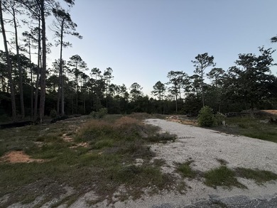 2 Beautiful lots, on a paved road, and within a 3-5 minute drive - photo 3