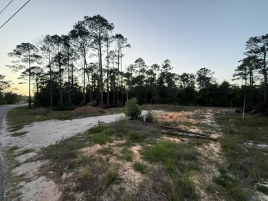 2 Beautiful lots, on a paved road, and within a 3-5 minute drive - photo 4