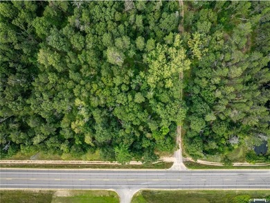 Wooded lot in Breezy Point with deeded access to Ossawinnamakee - photo 3