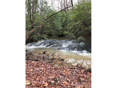 (private lake, pond, coastal) Acreage For Sale in Walhalla South Carolina