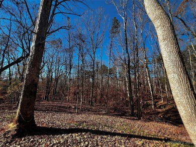 Lake Norman Lot For Sale in Davidson North Carolina