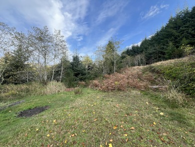 North Umpqua River Acreage For Sale in Winchester Bay Oregon