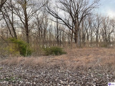Ohio River - Breckinridge County Lot For Sale in Cloverport Kentucky