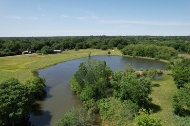 (private lake, pond, creek) Home For Sale in Grapeland Texas