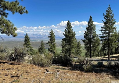 Embrace the potential of this amazing 3/4-acre Clear Creek Tahoe - photo 1