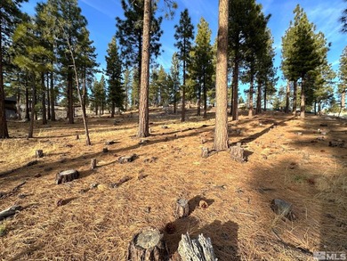 Embrace the potential of this amazing 3/4-acre Clear Creek Tahoe - photo 2