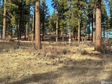 Embrace the potential of this amazing 3/4-acre Clear Creek Tahoe - photo 3