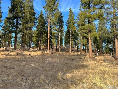 Embrace the potential of this amazing 3/4-acre Clear Creek Tahoe - photo 4