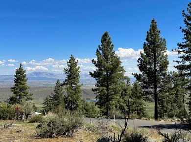 Embrace the potential of this amazing 3/4-acre Clear Creek Tahoe - photo 5