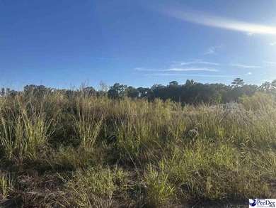 Forest Lake - Florence County Lot For Sale in Florence South Carolina