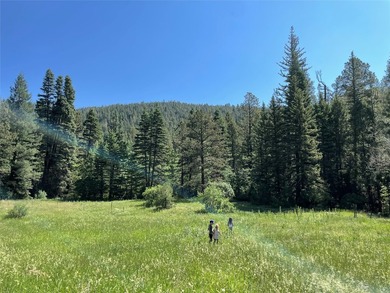 (private lake, pond, creek) Acreage For Sale in Angel Fire New Mexico