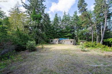 Here's your chance to own two side-by-side residential tax lots - photo 12
