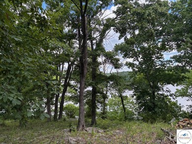 Build your new lake home on this unrestricted waterfront lot - photo 4