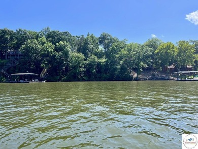 Build your new lake home on this unrestricted waterfront lot - photo 6