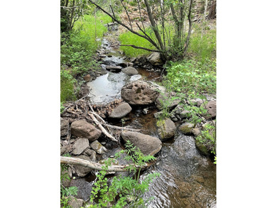 Manueles Creek Ranch encompasses 1,026.1+/- deeded acres in the - photo 6