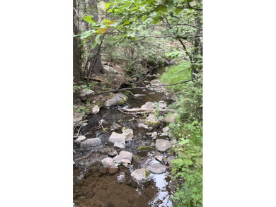 Manueles Creek Ranch encompasses 1,026.1+/- deeded acres in the - photo 10