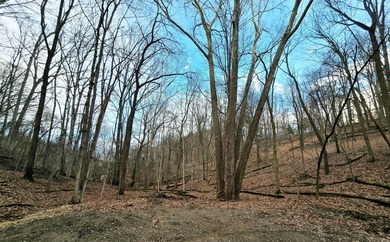 Lake of Four Seasons Lot For Sale in Hideaway Hills Ohio