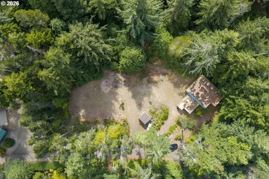 Here's your chance to own two side-by-side residential tax lots - photo 23