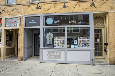 (private lake, pond, coastal) Commercial For Sale in Catskill New York