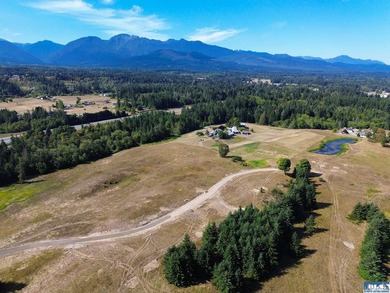 Set in the peaceful Agnew community between Sequim and Port - photo 1