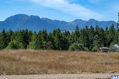Set in the peaceful Agnew community between Sequim and Port - photo 2