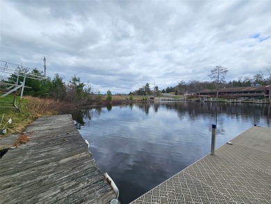 Enjoy the beauty of Minong and the stunning foliage of Douglas - photo 3