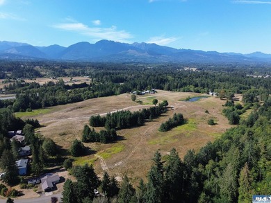 Set in the peaceful Agnew community between Sequim and Port - photo 4