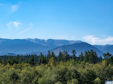 Set in the peaceful Agnew community between Sequim and Port - photo 5
