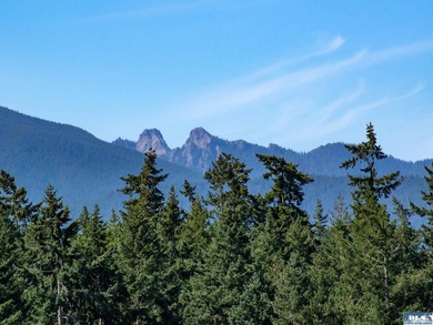 Set in the peaceful Agnew community between Sequim and Port - photo 6