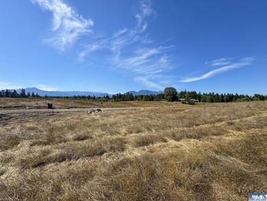 Set in the peaceful Agnew community between Sequim and Port - photo 7