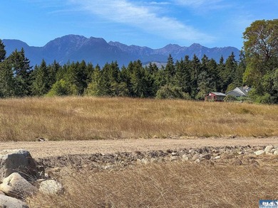 Set in the peaceful Agnew community between Sequim and Port - photo 8
