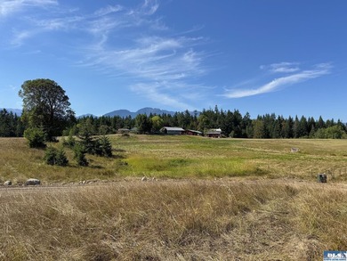 Set in the peaceful Agnew community between Sequim and Port - photo 9