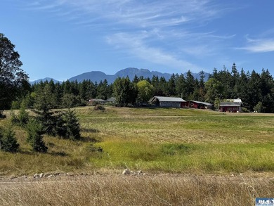Set in the peaceful Agnew community between Sequim and Port - photo 10