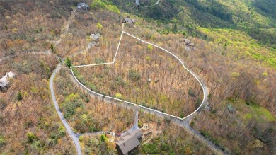 Hogback Lake Acreage For Sale in Sapphire North Carolina