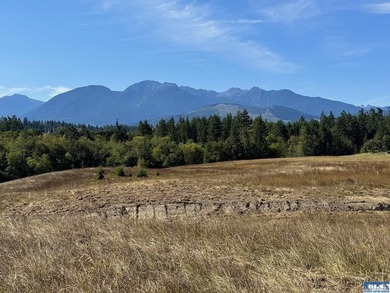 Nestled in the heart of the desirable Agnew area between Sequim - photo 1
