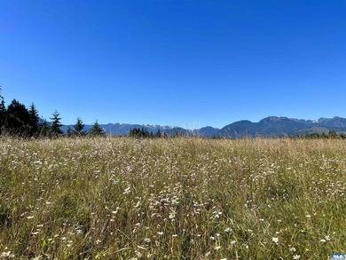 Nestled in the heart of the desirable Agnew area between Sequim - photo 3