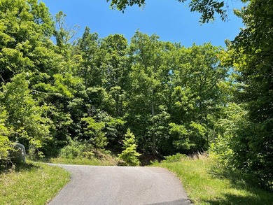 JUST REDUCED Gorgeous views of the mountains and Lake Chatuge - photo 4